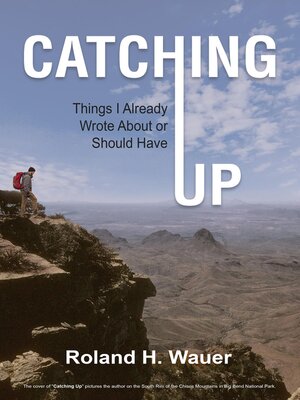 cover image of Catching Up